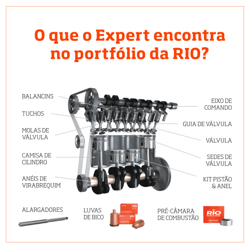 RIO apresenta portfólio na Automechanika Dubai 2021 1 mapa motor