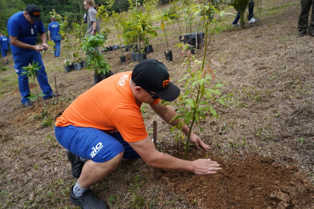 Energia Renovável: RIO avança rumo aos 80 anos com compromisso sustentável 1 Colaborador participando do plantio comemorativo