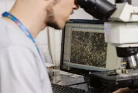 Mercado corporativo 18 corporativo-laboratorio5-300x300.jpg