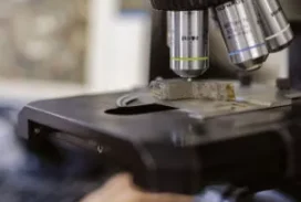 Mercado corporativo 46 corporativo-ligas5-300x300.jpg