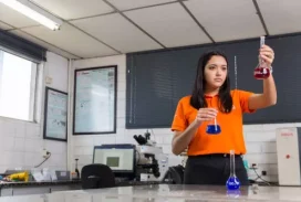 Mercado corporativo 16 edu51240-500x333.jpg